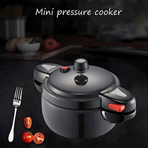 GRSJKRI Stainless Steel Electric Pressure & Slow Cooker