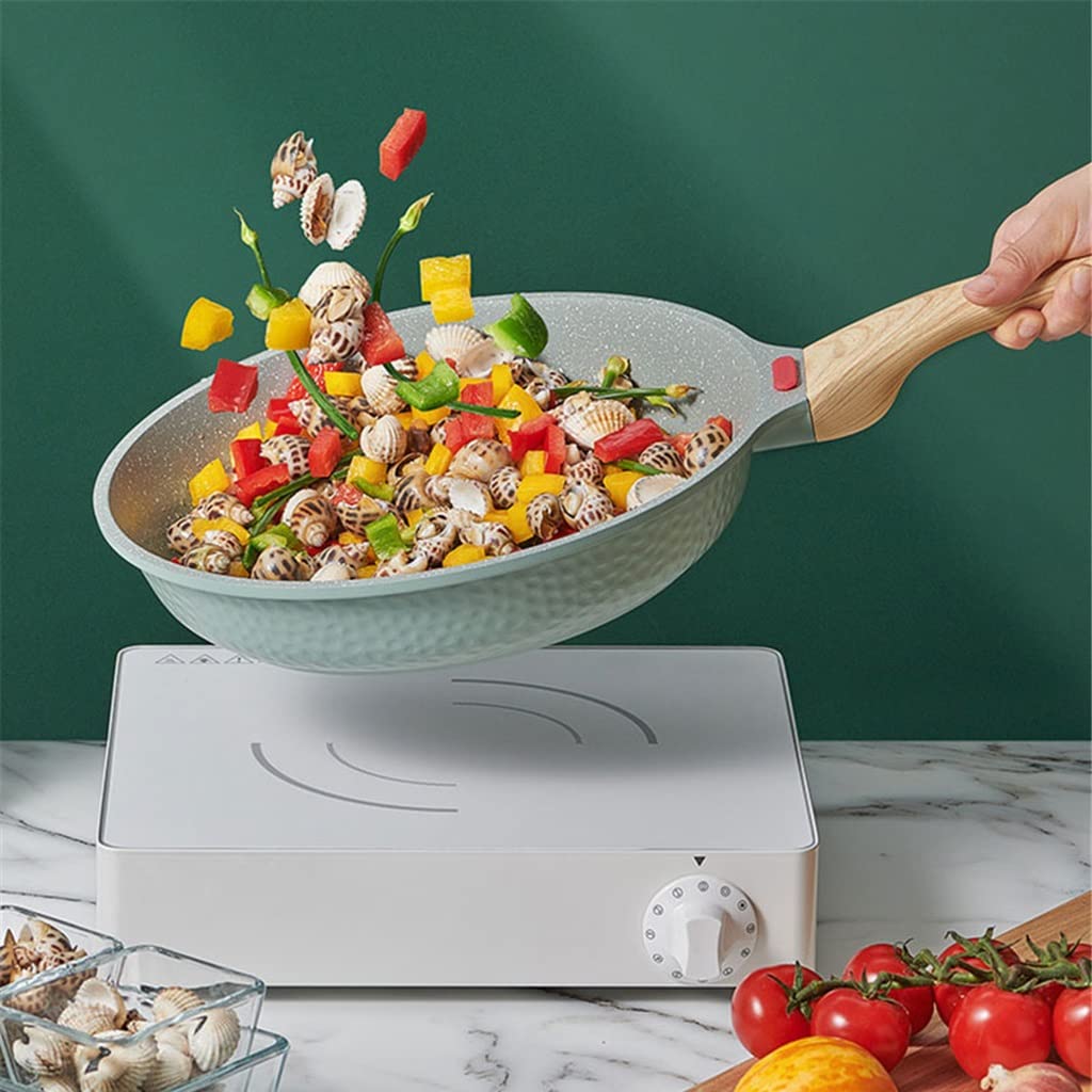 20cm Nonstick Frying Pan with Lid for Induction Cooking