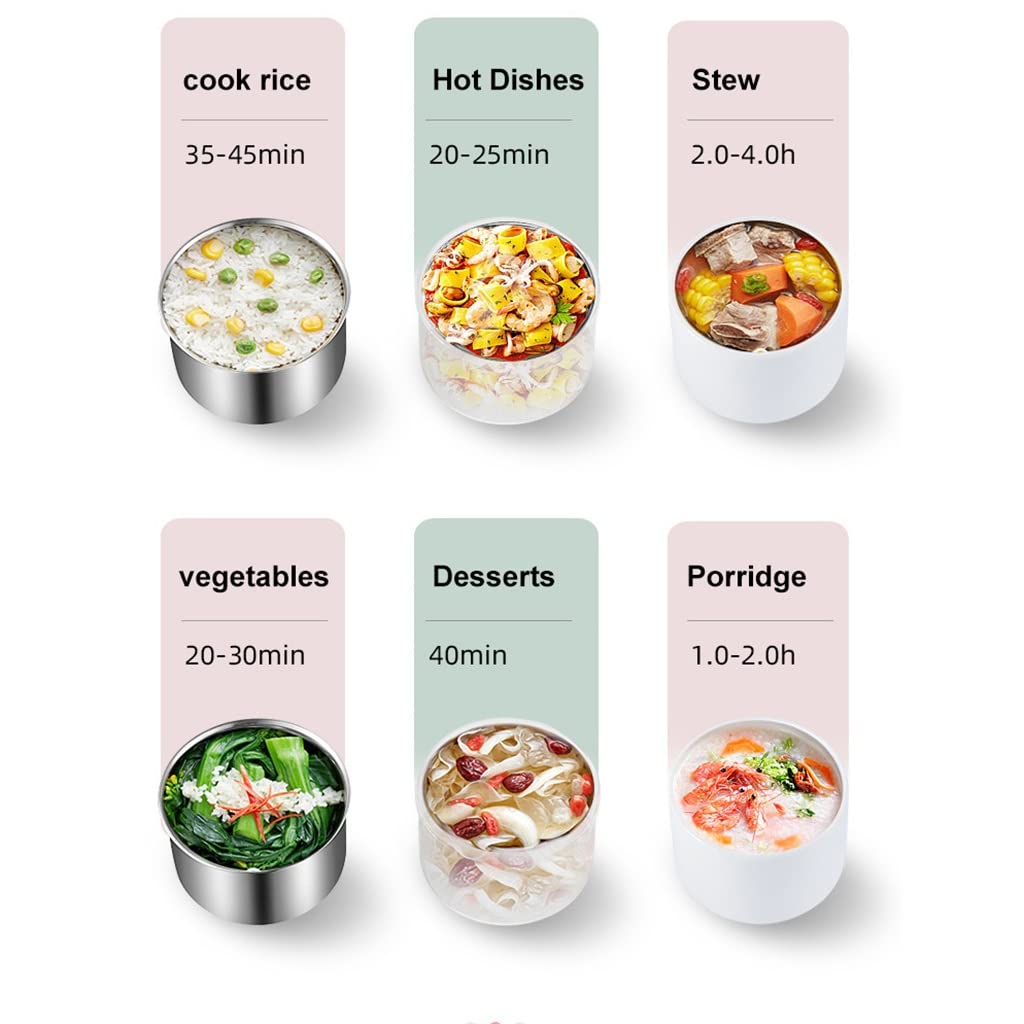 YWangQiang Portable Electric Lunch Box & Food Warmer